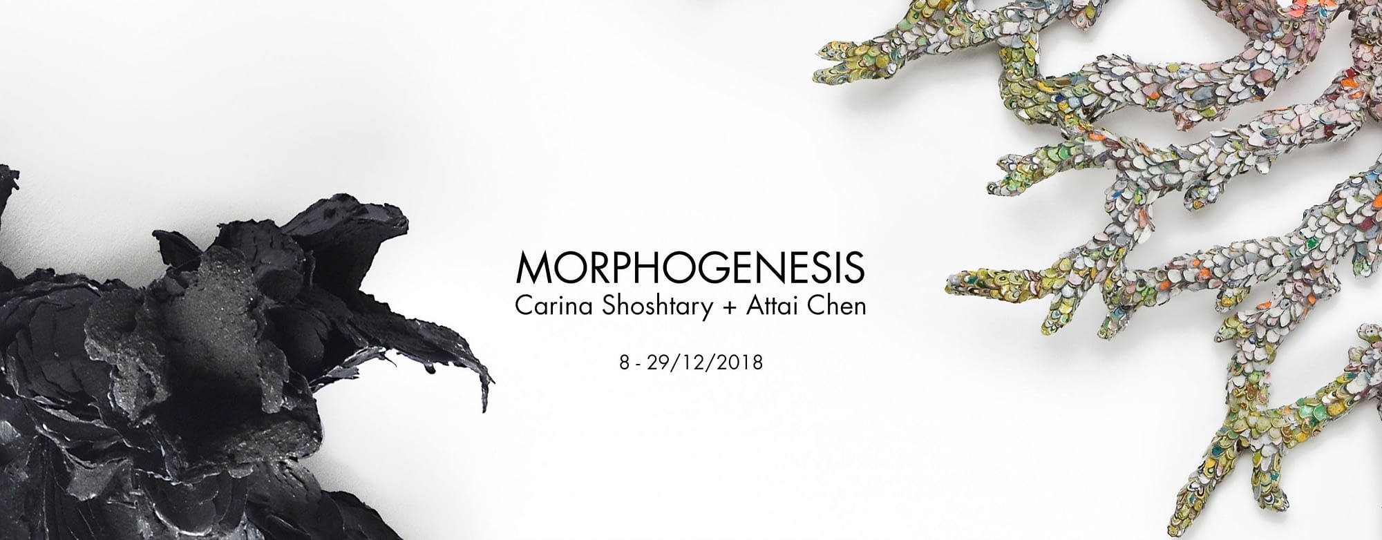 morphogenesis-exposition-slider