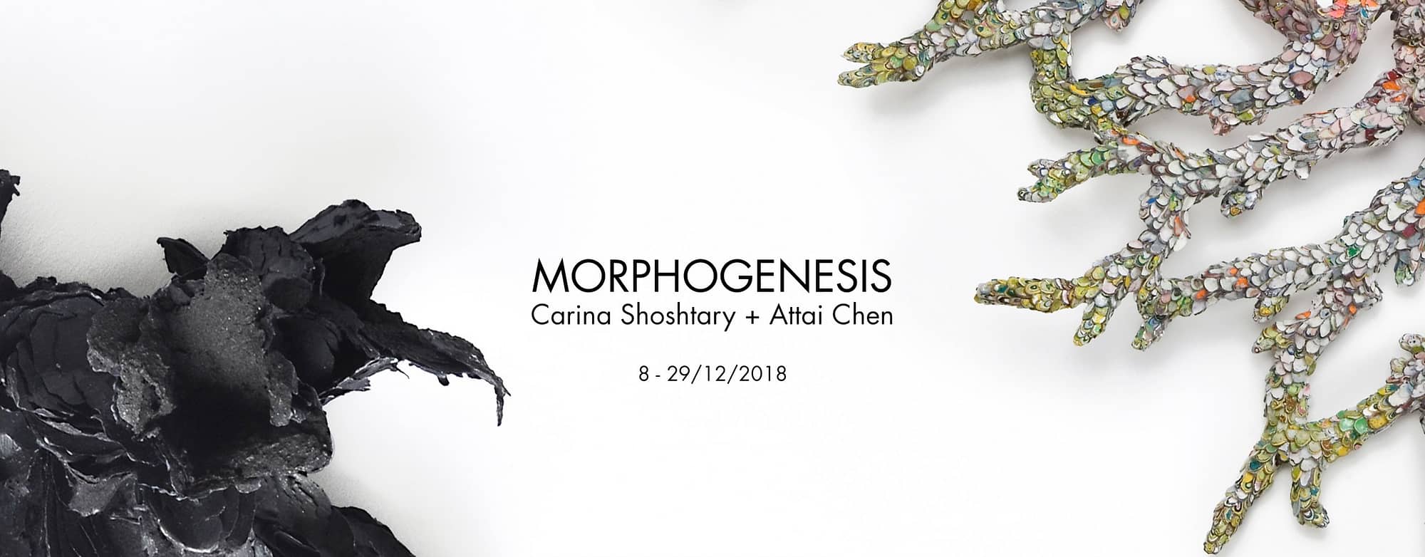 morphogenesis-exposition-slider