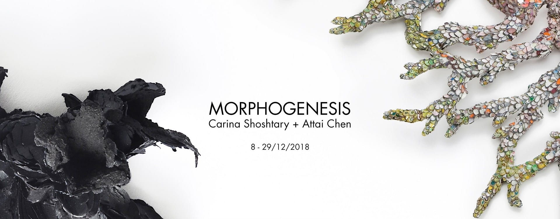 morphogenesis-exposition-slider